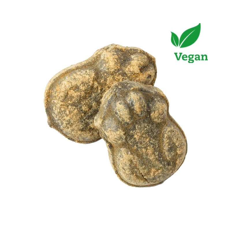 Powder Filled Frog - 50 grams